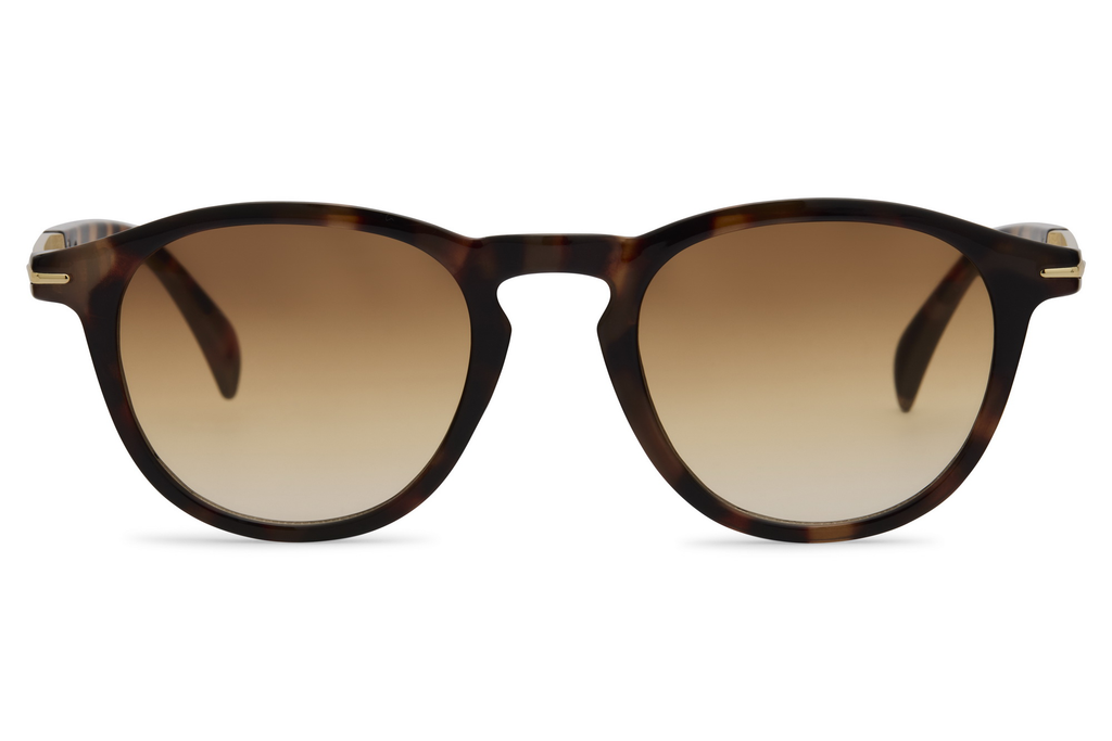 Gafas de Sol Panto Carey Marrón Lente Marrón Degradado